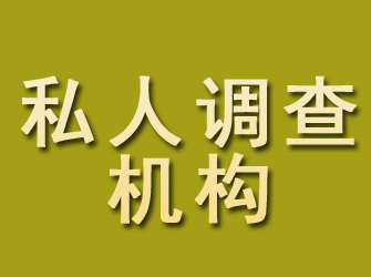 河东私人调查机构