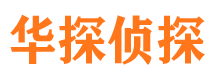 河东市调查公司